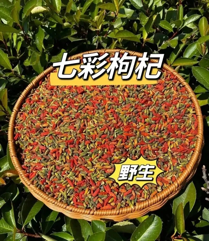 （小泽）云南山货七彩枸杞