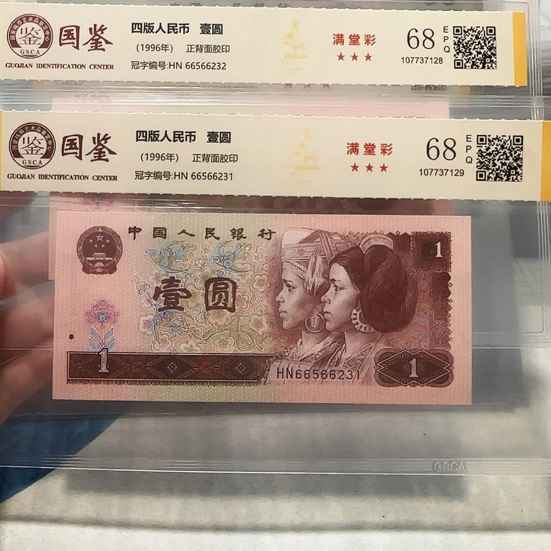 66566232、231。。。。。。