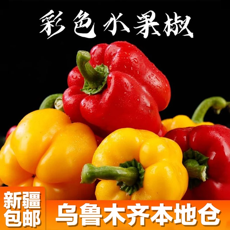 【只卖新疆】红黄双色五彩椒水果1.6kg山东新鲜生吃饱腹零食不辣