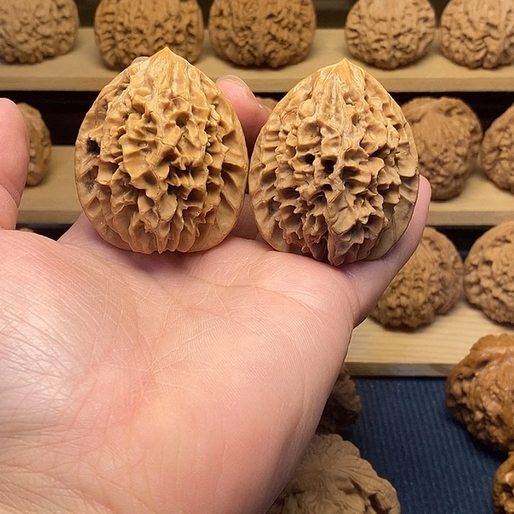 核桃44招财鼠福利核桃