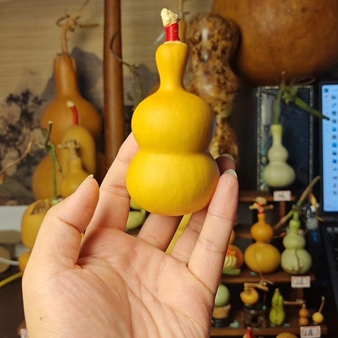 宏福葫芦五五八宝葫芦