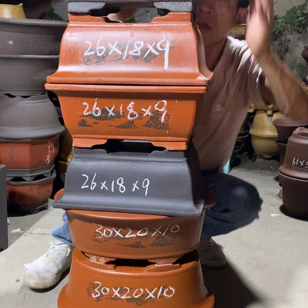 紫砂紫砂紫砂紫砂