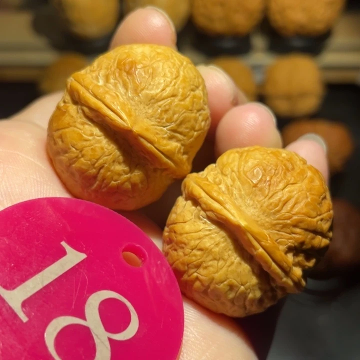 龙珠32尺寸核桃，。
