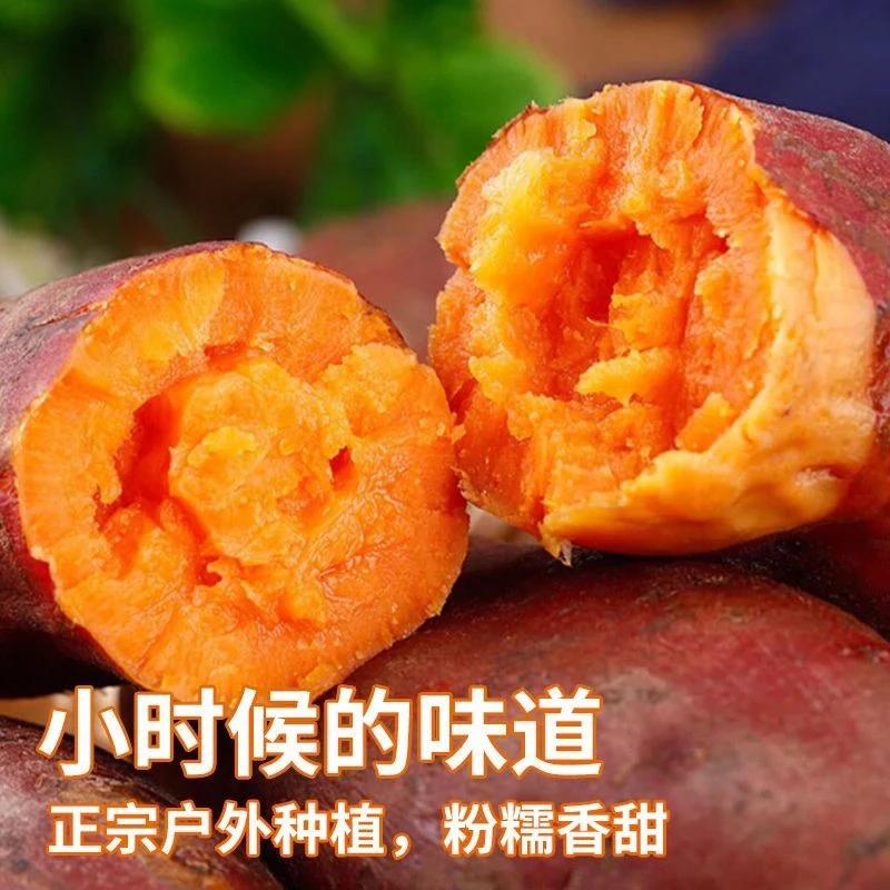 湖南沙地相声本地新鲜软糯现挖蜜薯红薯正宗富大龙计划定档