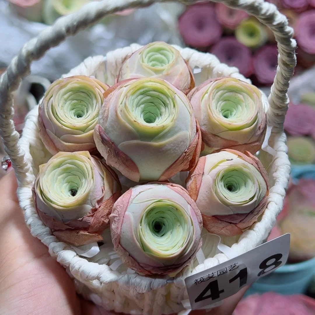 418一篮水蜜桃组合。