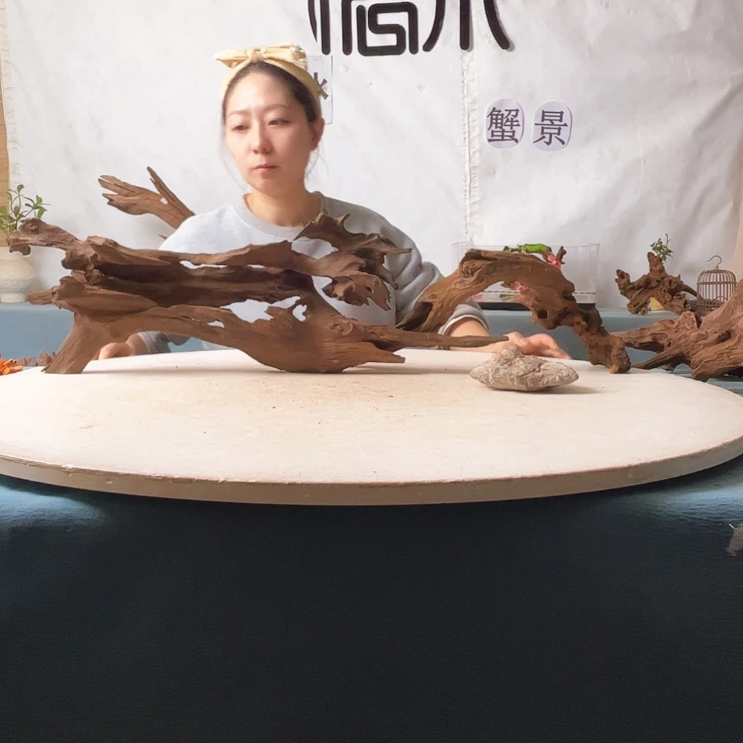 寄居蟹造景沉木造景
