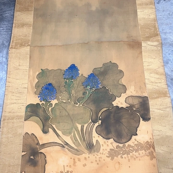 妙****）精品剪纸作品欣赏l