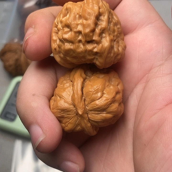 核桃和核桃是什么意思