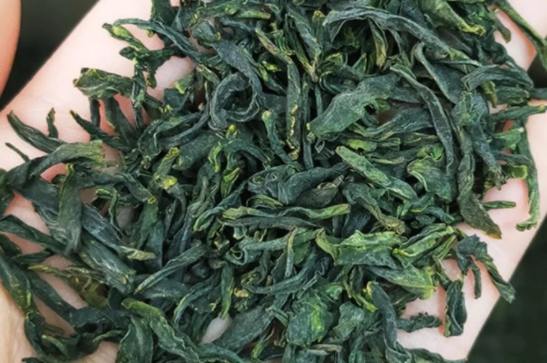 六安瓜片内山土种特二级真正的瓜片灵魂叶大肉厚纯手工香炉尖二采