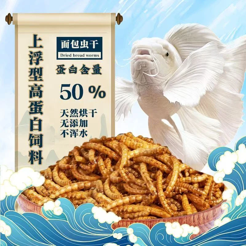 蝴蝶鲤锦鲤观赏鱼金鱼上浮通用饲料面包虫干增色高蛋白