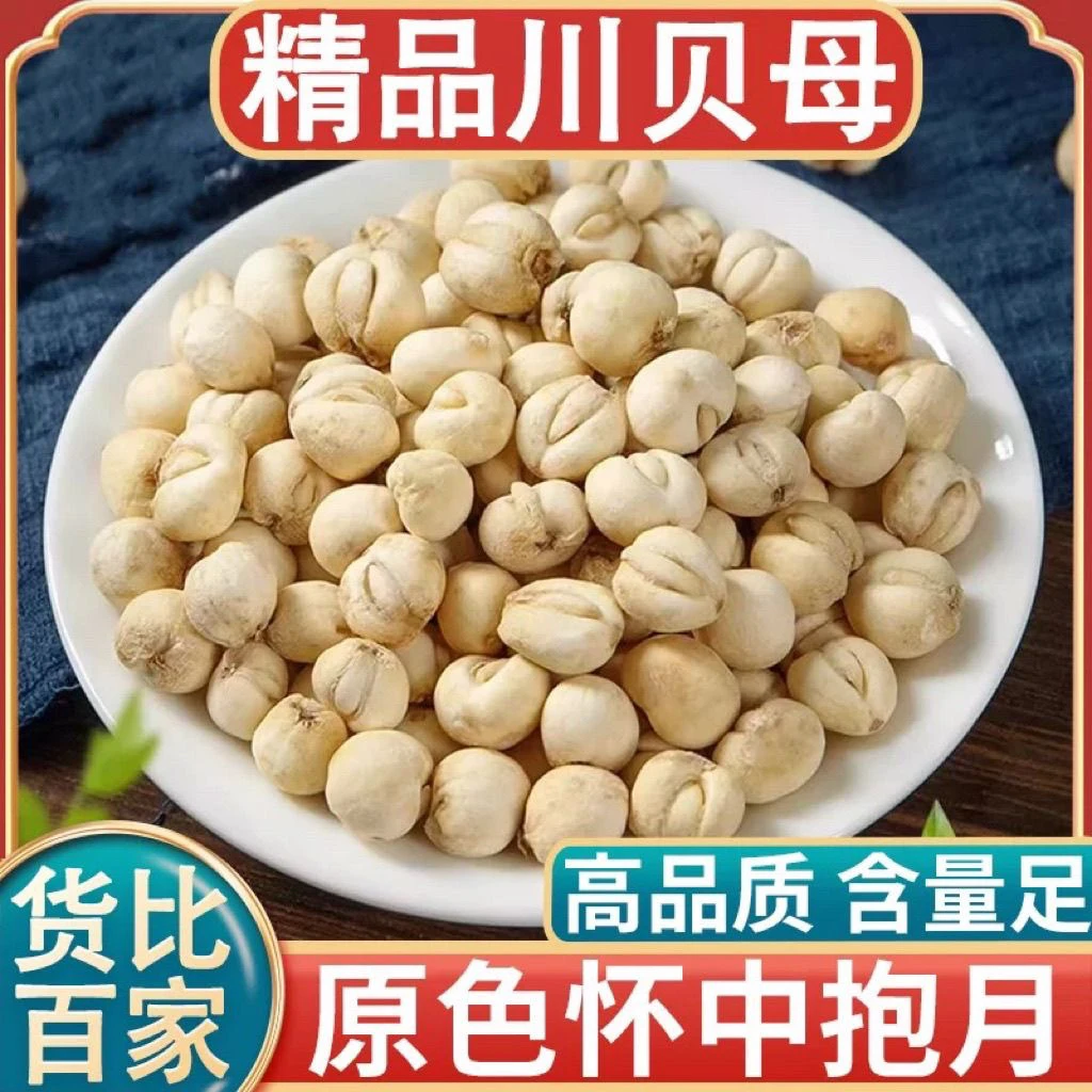 阿坝川贝母粒可磨粉煲汤搭配枸杞炖梨的天然贝母