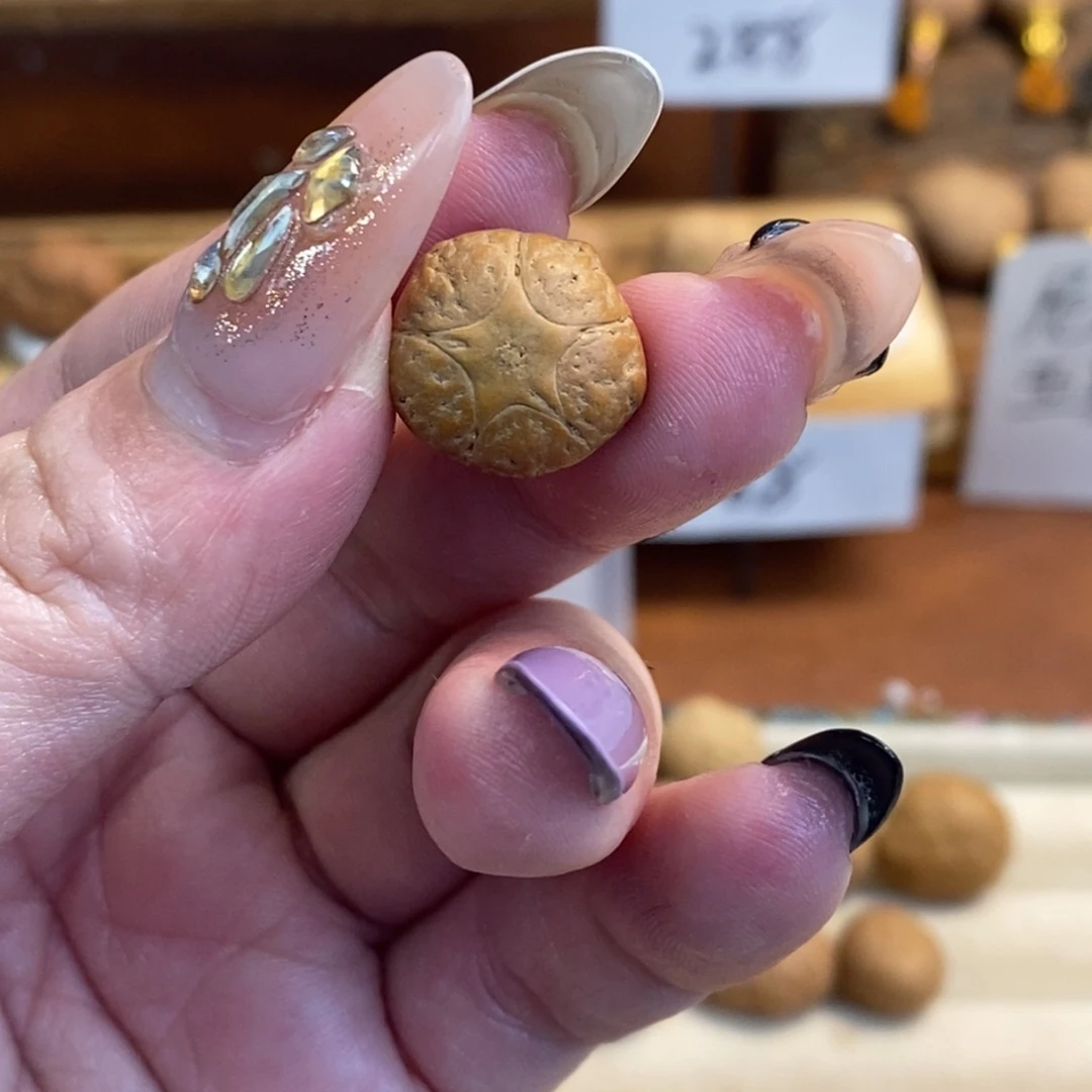 凤眼菩提吊坠15五星单颗