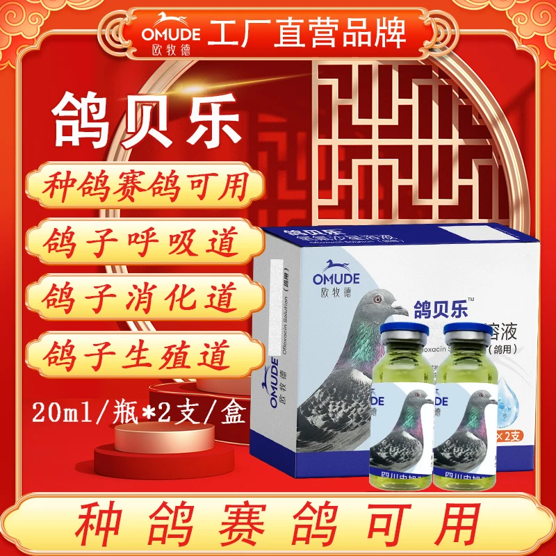 欧牧徳鸽贝乐种鸽赛鸽圆环元宝鹦鹉鸟类可用