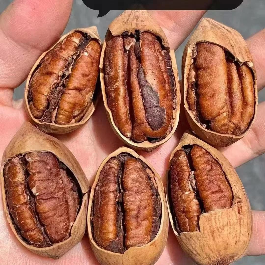 补差价【礼盒套餐】开心果 夏威夷果 腰果 碧根果自由组合