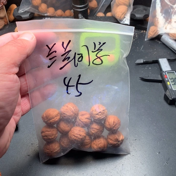 桃核吊坠兰**学野生精品小核桃散籽