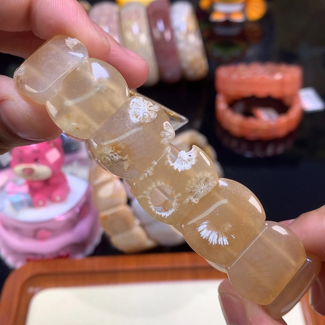 【闪购商品】颈饰未镶嵌硅化珊瑚（珊瑚玉）21号标本大花绝啦！