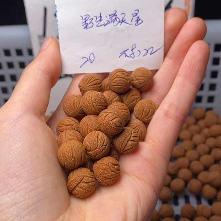 手串桃核12mm左右野生满天星20颗（不打孔）