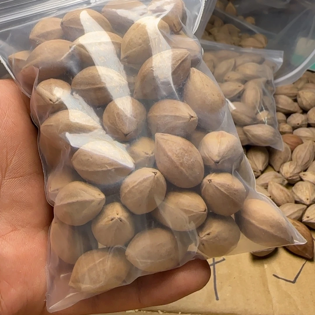 【闪购商品】橄榄核手串/手链飘***叶11111111
