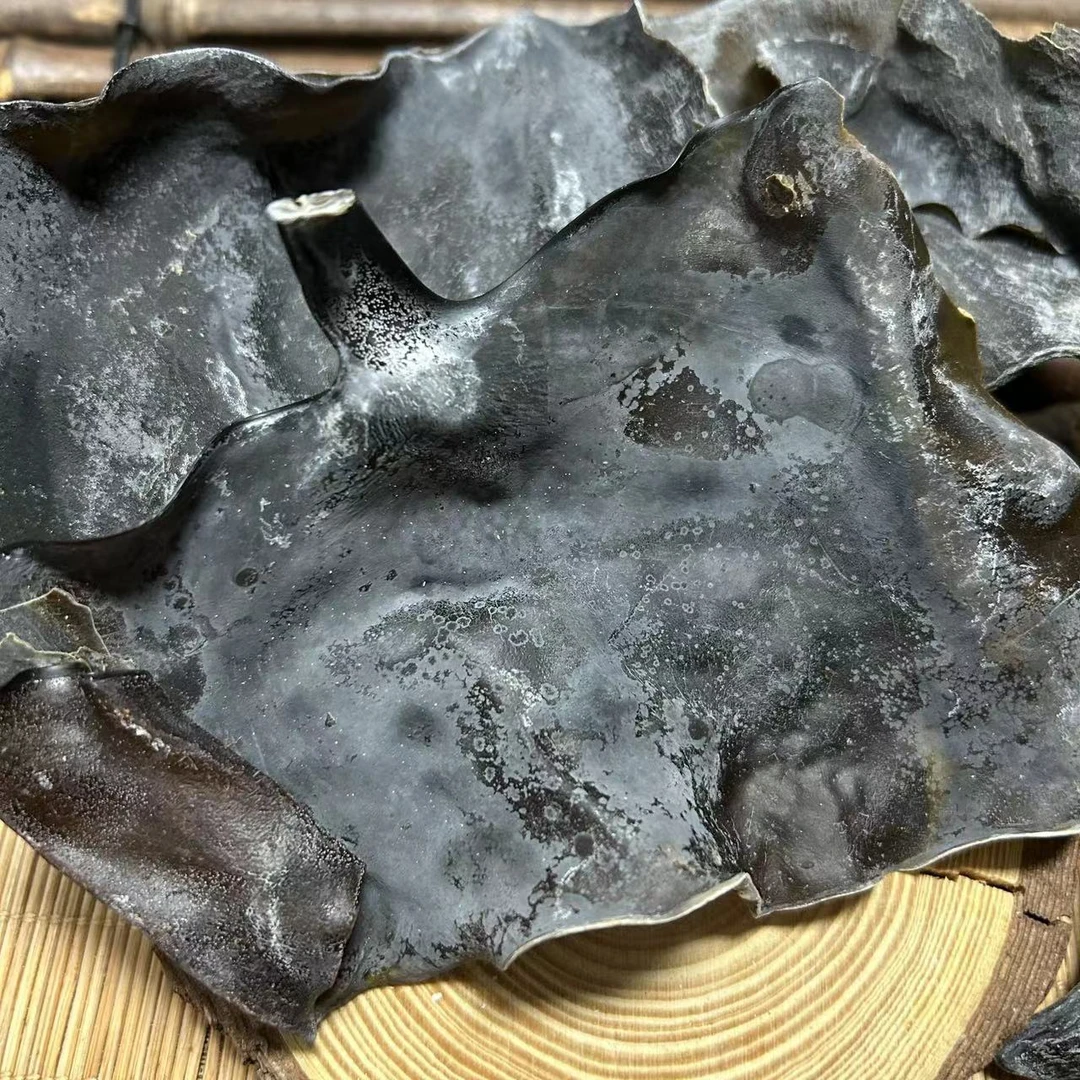 【飞飞精选】海带头 煲汤汤料