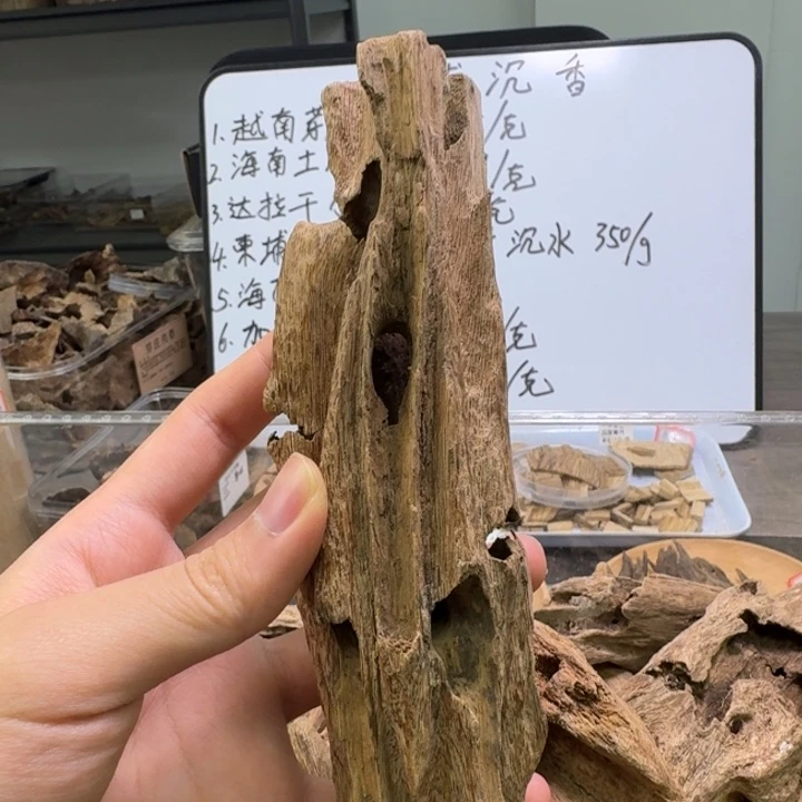 海南土沉虫漏63克