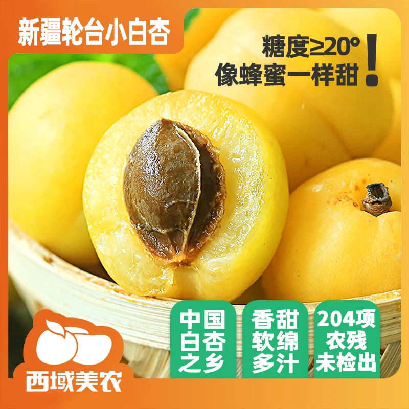 西域美农新疆小白杏3斤装 吊干杏新疆杏子多汁水果直播产地直发