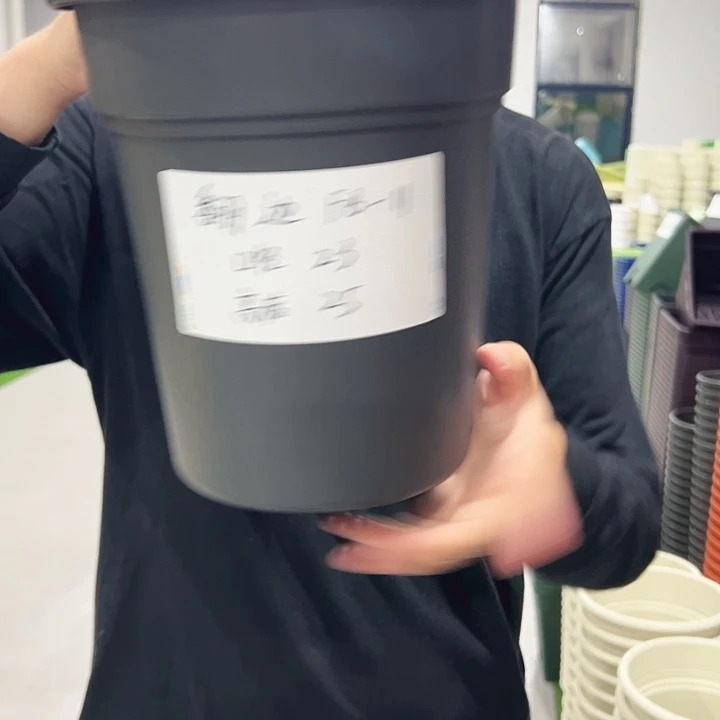 翻边口23高25混色5支无托