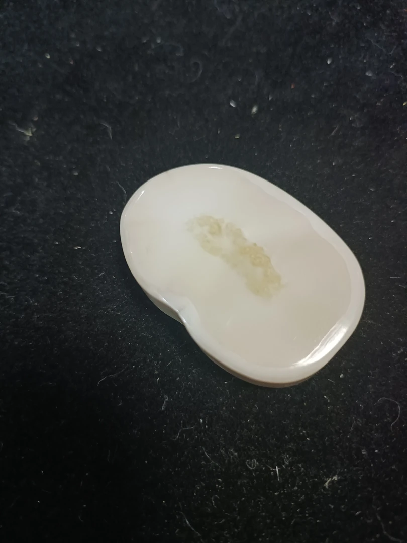 猛犸猛犸虬饼子WW535