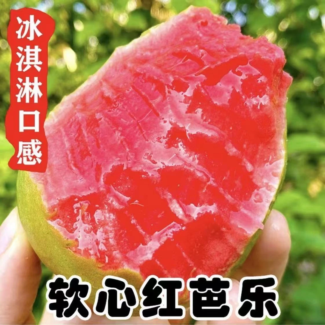 正宗广西芭乐水果新鲜现摘红心白心双拼奶油芭乐果番石榴清甜多汁