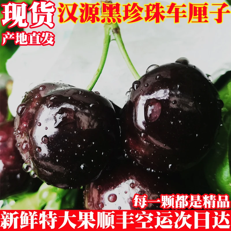四川汉源车厘子新鲜现摘甜大樱桃顺丰空运5斤超大果孕妇水果现货