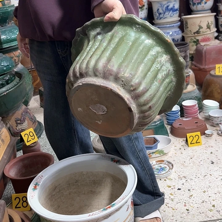 红陶欣**至。。。。。。。。。。。