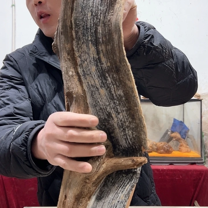 柏木不**问我们都是好孩子呀我也
