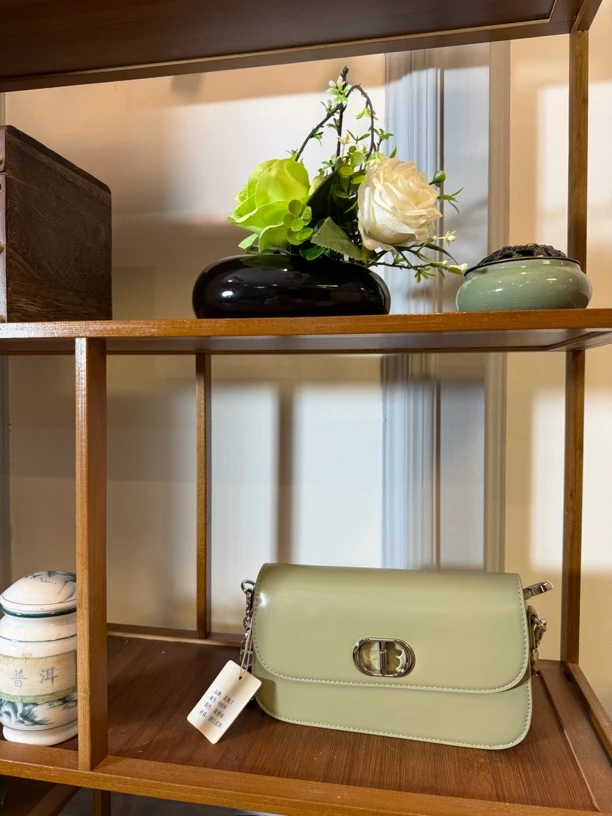 高级时尚小众腋下包单肩斜挎气质轻奢女包