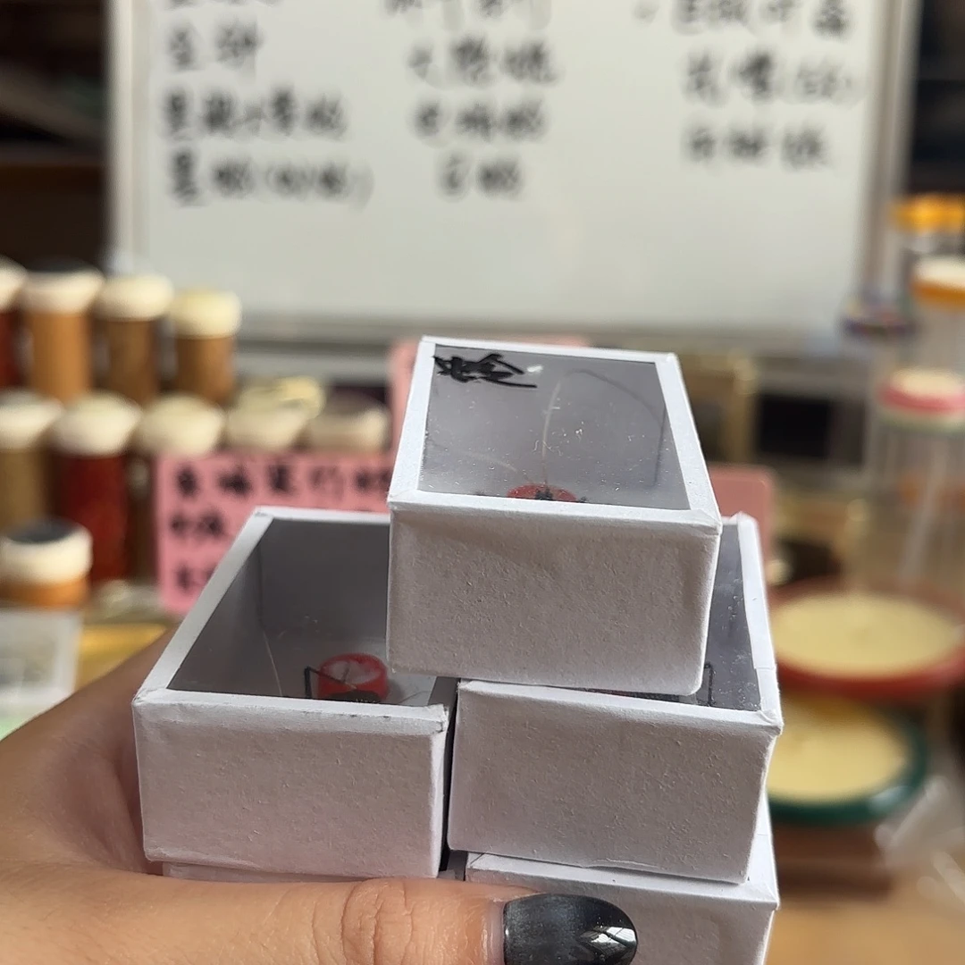 五条马蛉 不包断须尾