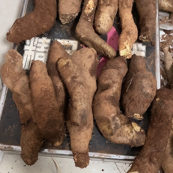 看***淡中国大陆云南省石屏县