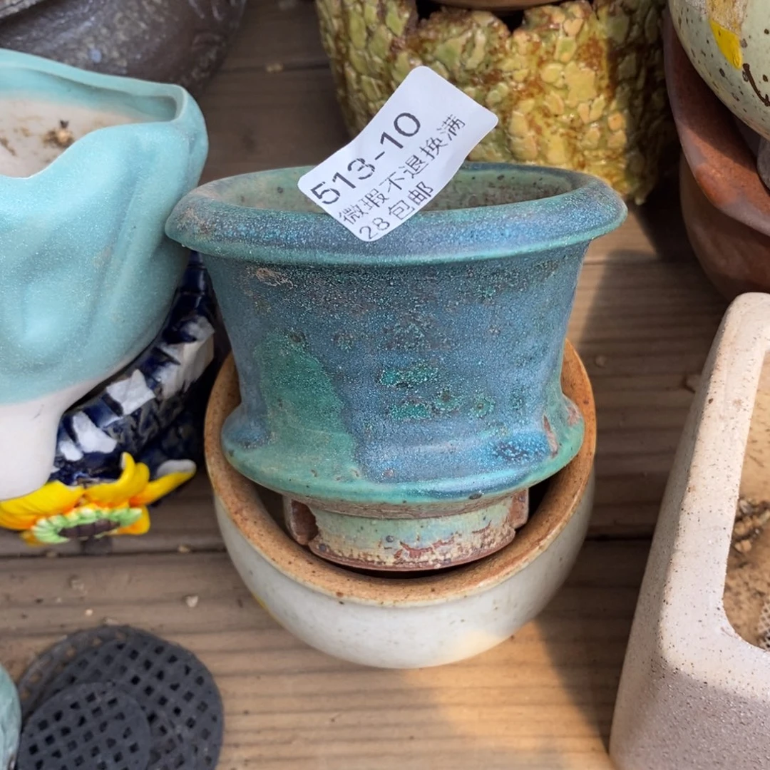 ?****?10号多肉盆一个呀