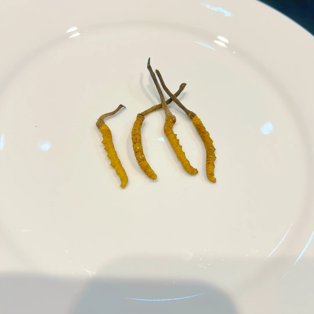 【4根1克精品整草】藏地高海拔冬虫夏草 食用/滋补/自吃/泡酒/送礼
