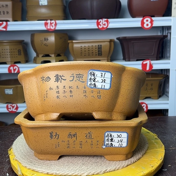 花盆紫砂你是不是