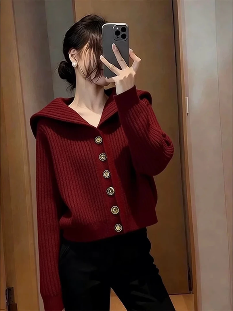 职业阿玛诗官2025秋冬新款时尚连帽针织开衫女宽松高级感毛衣外套