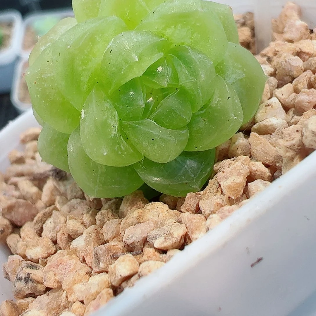 279哈哈哈哈哈哈哈哈我