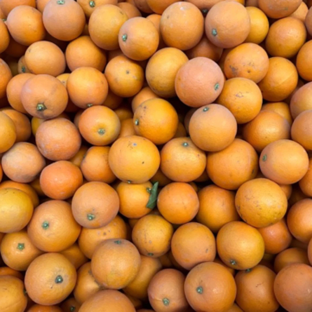 【柳州鹿寨直发】鹿寨蜜橙9斤高品质（55-70mm）