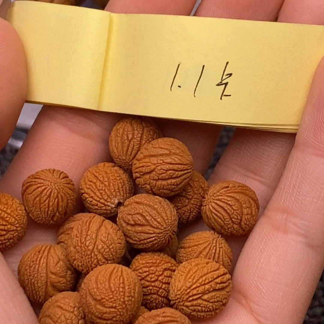 秦岭山脉龙纹桃核 21