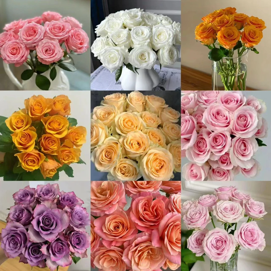 【母亲节限定】不选品鲜花 两单以上包邮