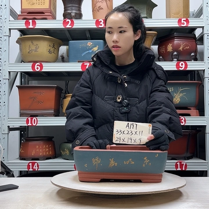 紫砂花盆紫砂花盆