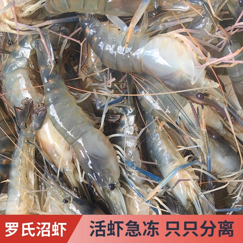 淡水之王新鲜 鲜活液氮速冻 冷冻罗氏沼虾 淡水大虾