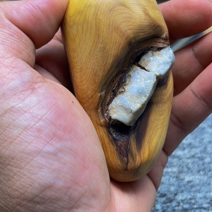 柏木（崖柏）崖柏570