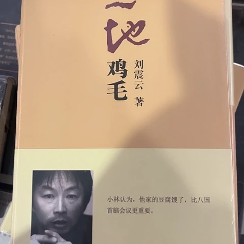 一地鸡毛 8闪购闪购闪购