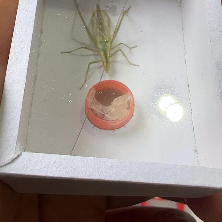 鱼***岁哈哈哈哈哈哈哈哈哈
