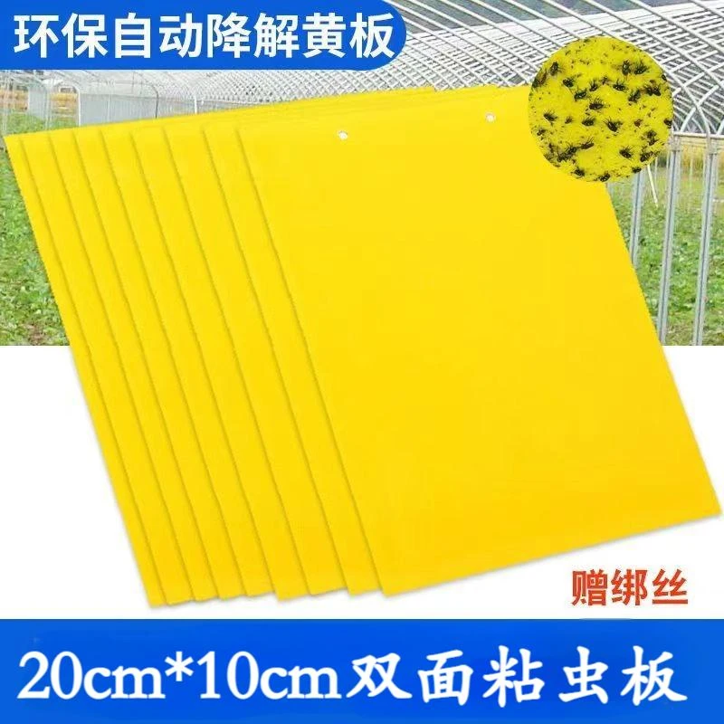 黄板双面粘虫板诱虫蓝板纸贴黄色灭小飞虫粘板果园蓟马大棚园艺