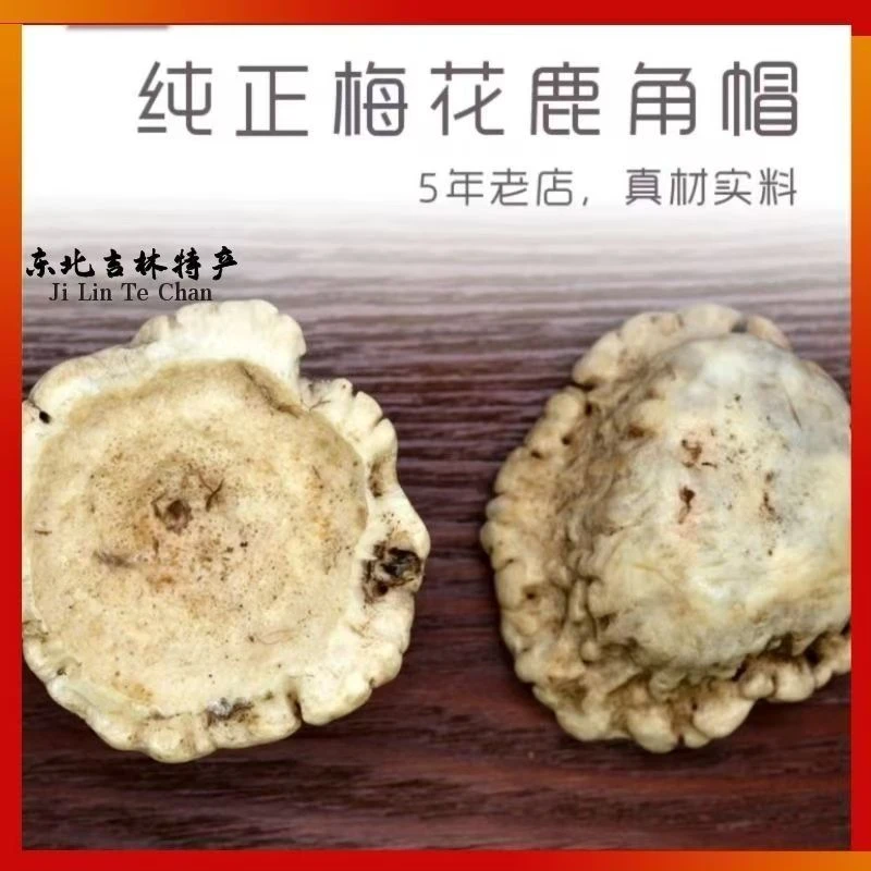 正宗鹿角帽粉 细腻品质 吉林长白山特产梅花鹿鹿托盘粉