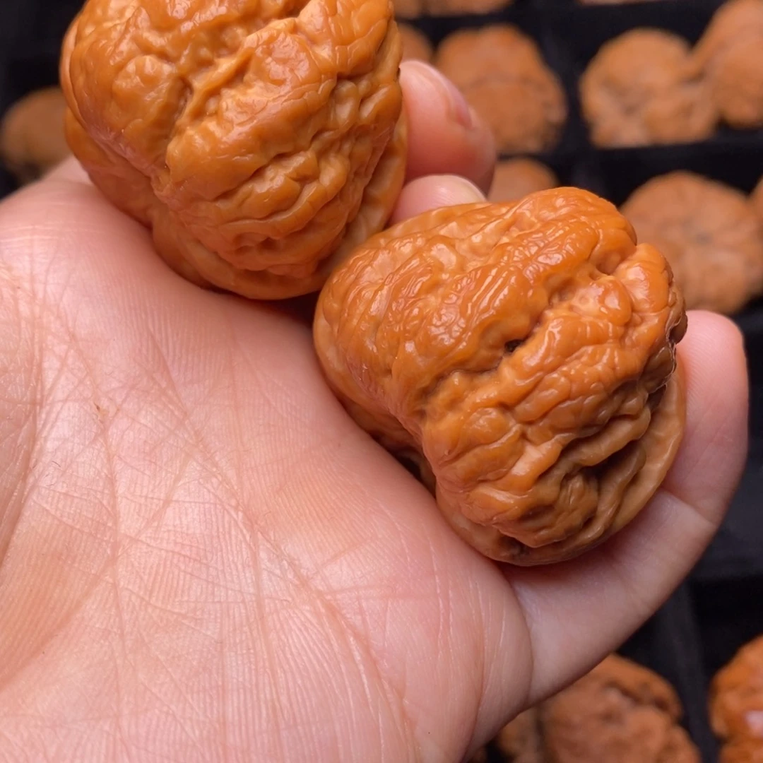 秦岭野生文玩核桃